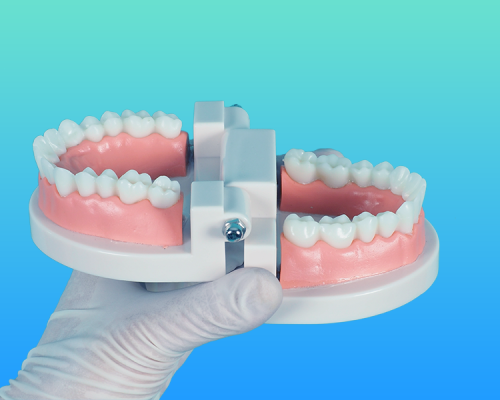 Protesi dentale mostra una mano guantata tiene un modello dentale di denti superiori e inferiori su uno sfondo blu sfumato. Il modello mostra gengive rosa e denti bianchi, montati su una base di plastica bianca.