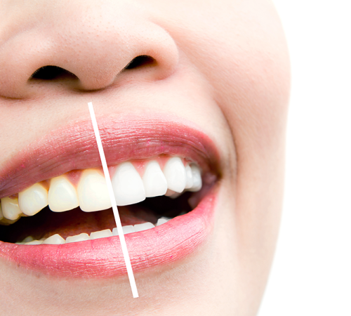 Dental224
