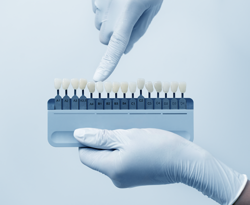 Dental231