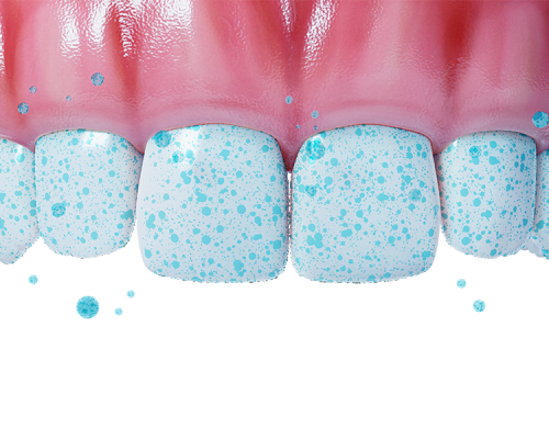 Dental241
